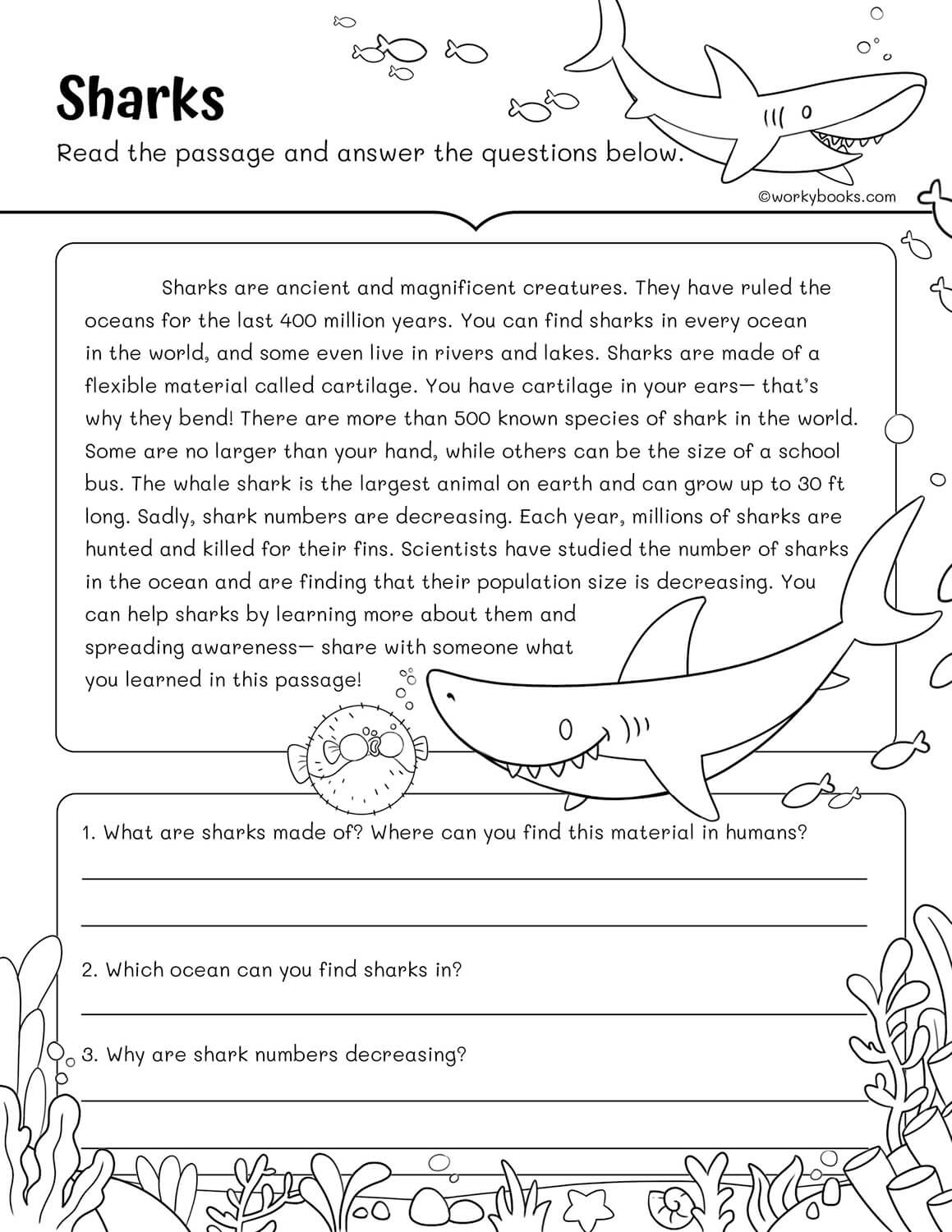 10 Free 3rd Grade Reading Fluency Passages Workybooks