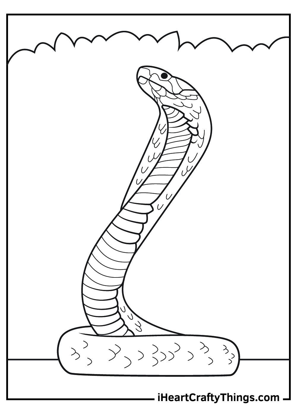 Free Printable Coloring Pages Real Animals