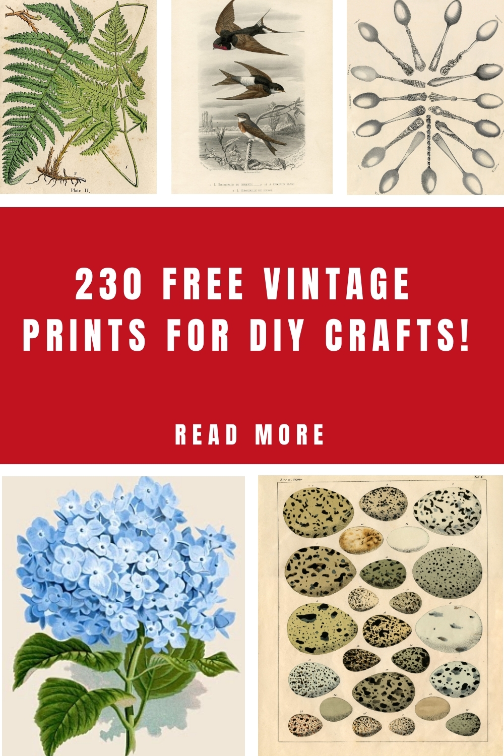 Free Vintage Kitchen Printables