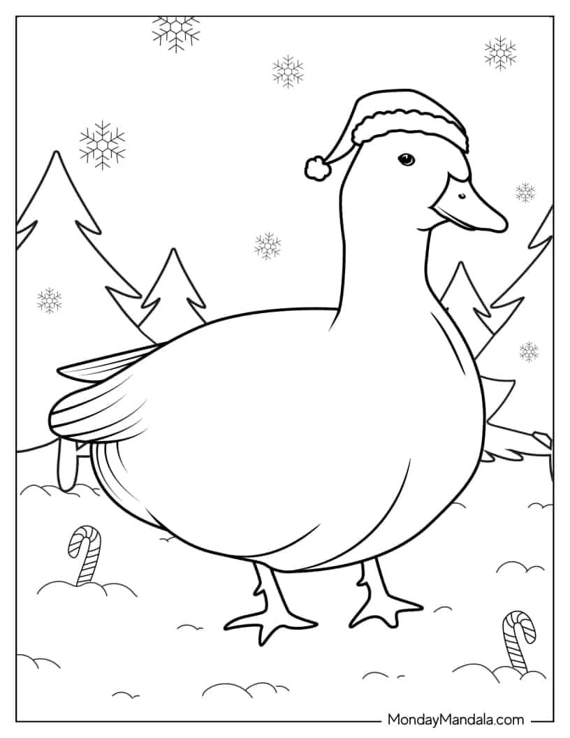 28 Cute Duck Coloring Pages Free PDF Printables 