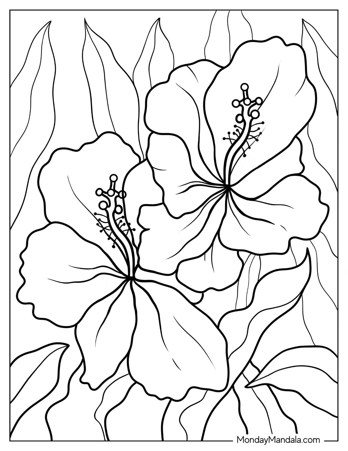 53 Flower Coloring Pages Free PDF Printables 