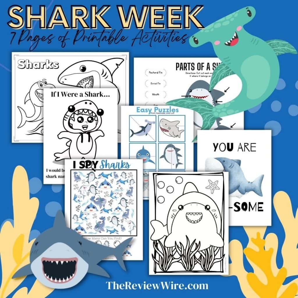 Free Printable Shark Activities