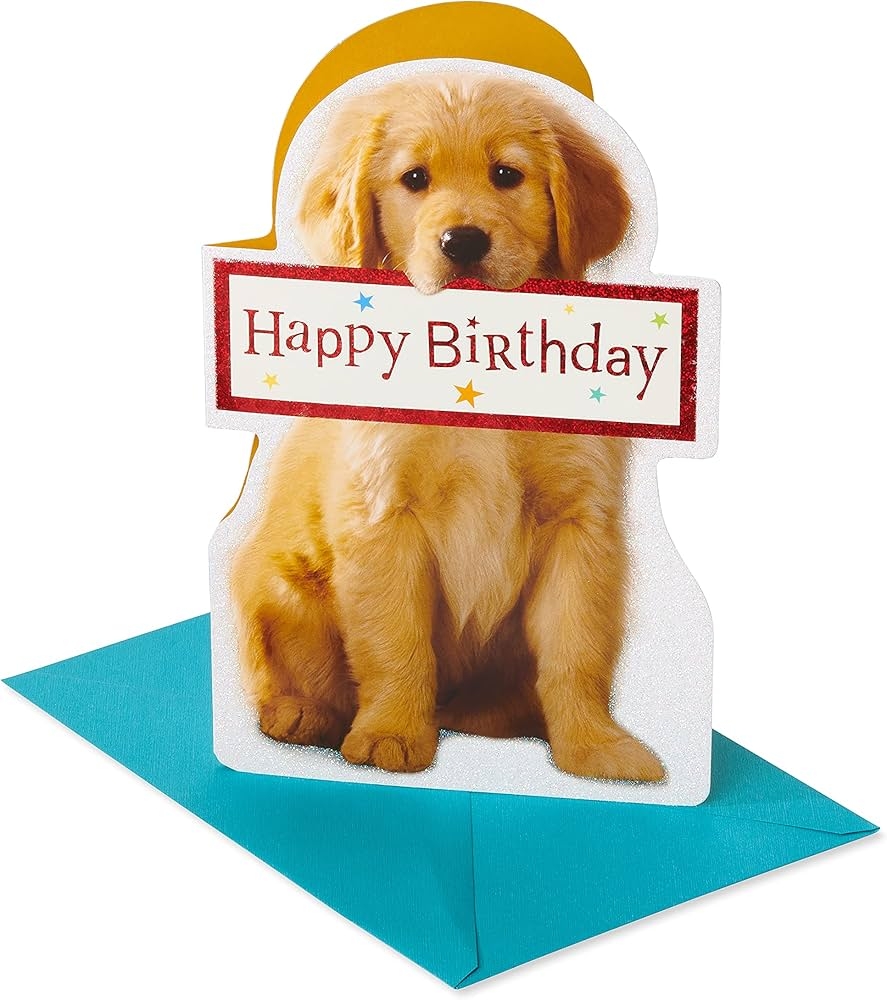 Amazon American Greetings Birthday Card Couldn t Ever Forget Office Products