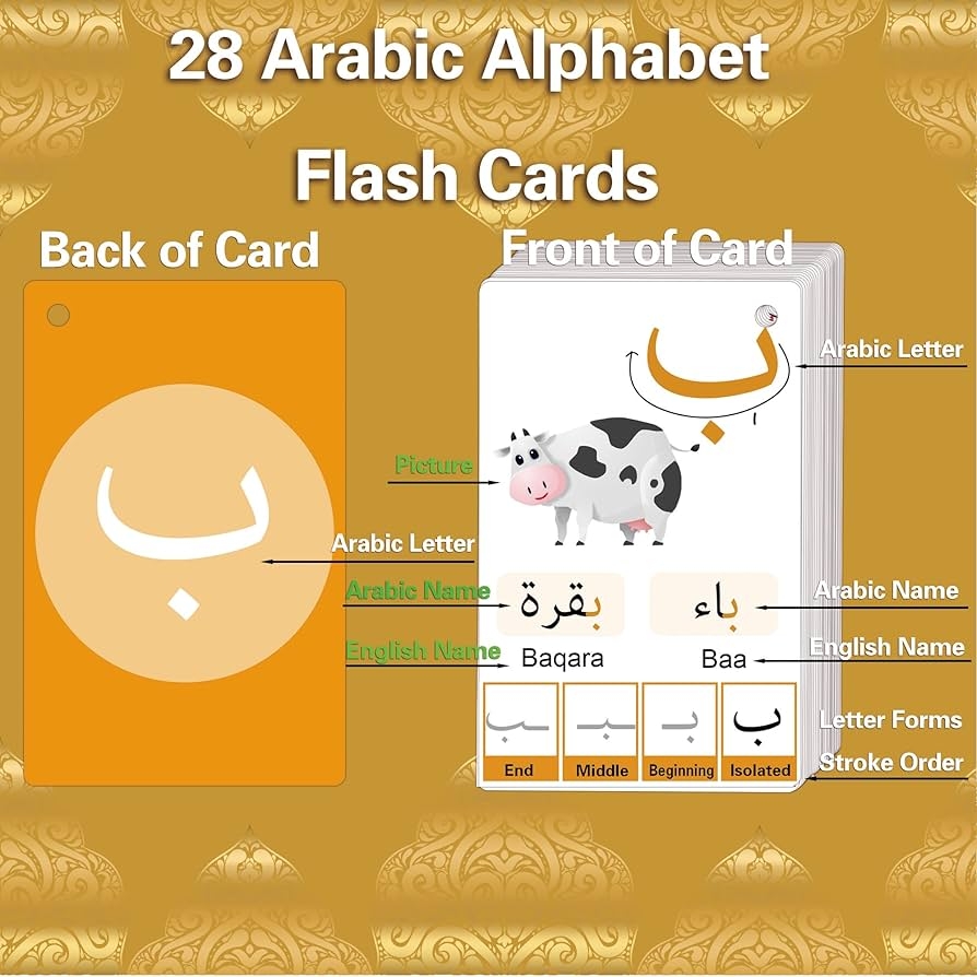 Amazon Arabic Flash Cards For Beginners Learn Arabic Alphabet For Kids Teens And Adults Toys Games