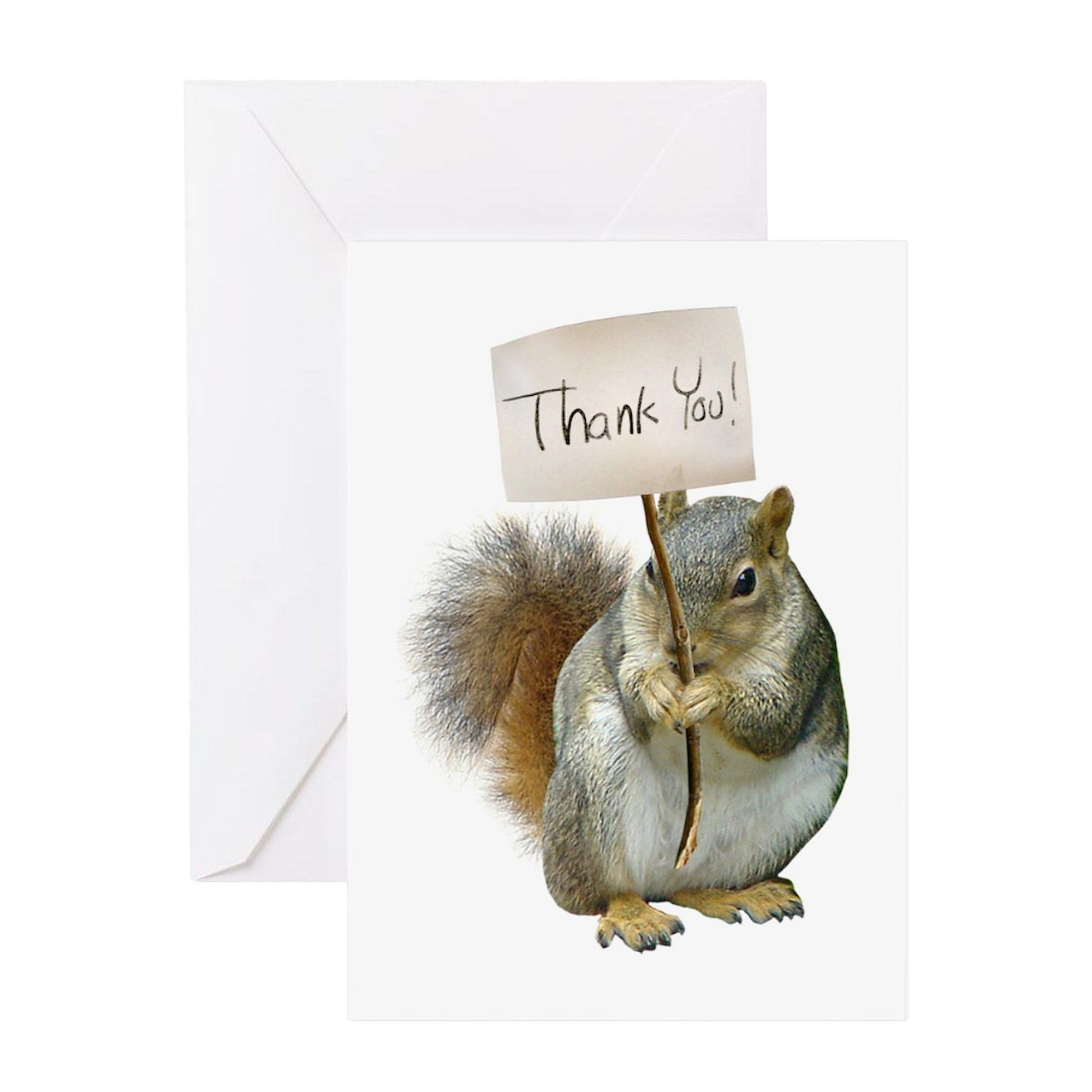 Amazon CafePress Squirrel Thank You Greeting Cards Folded Greeting Card Glossy Office Products