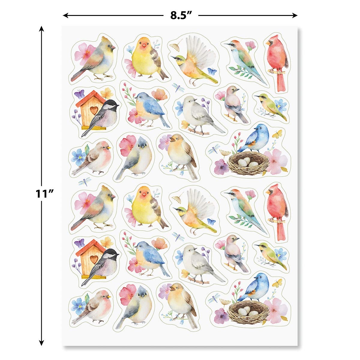 Amazon CURRENT Watercolor Birds Stickers Set Of 52 Stickers Two 8 1 2 X 11 Sheets Holiday Arts And Crafts Fun For Kids Spring Themed Gifts Party Bag Favors Office Products