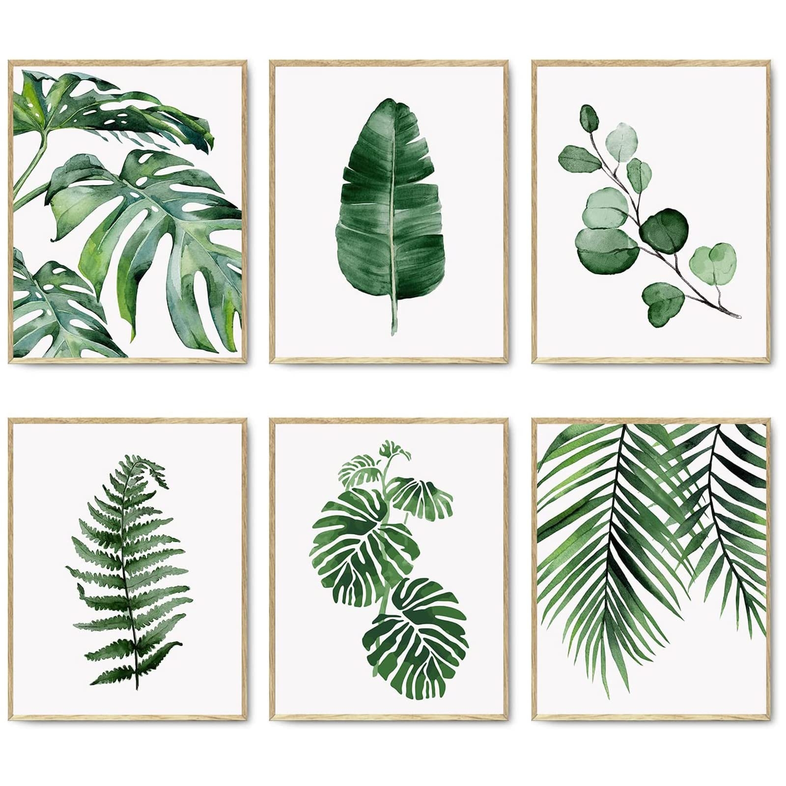 Amazon HoozGee Green Botanical Wall Art Print Set Of 6 Natural Plant Leaves Home Decor Boho Leaf Bathroom Wall Art Canvas Plant Posters Leaf Art Prints Poster Set Room Decor 8 x10 UNFRAMED Posters