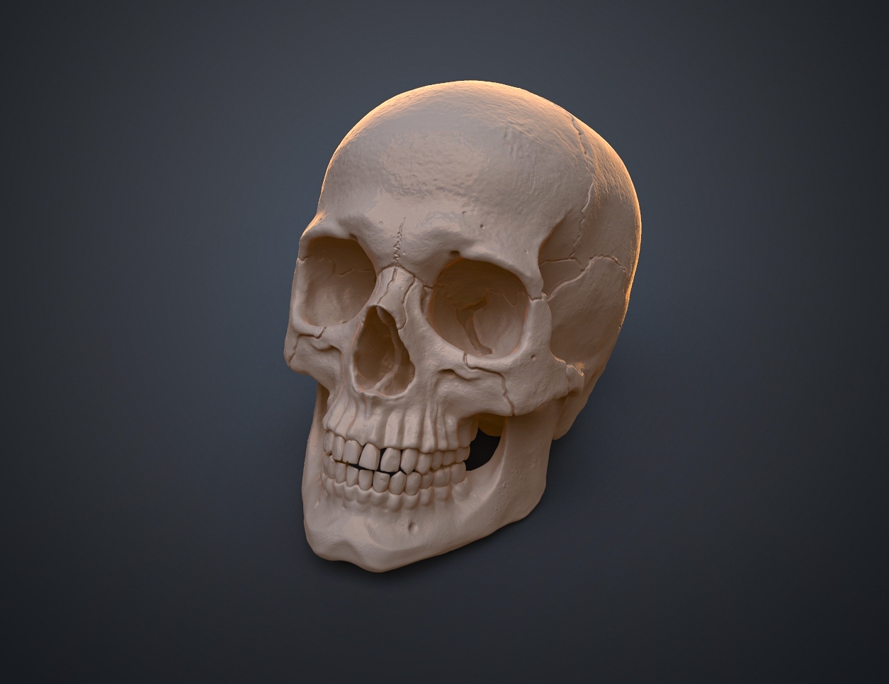 Free 3d Printables