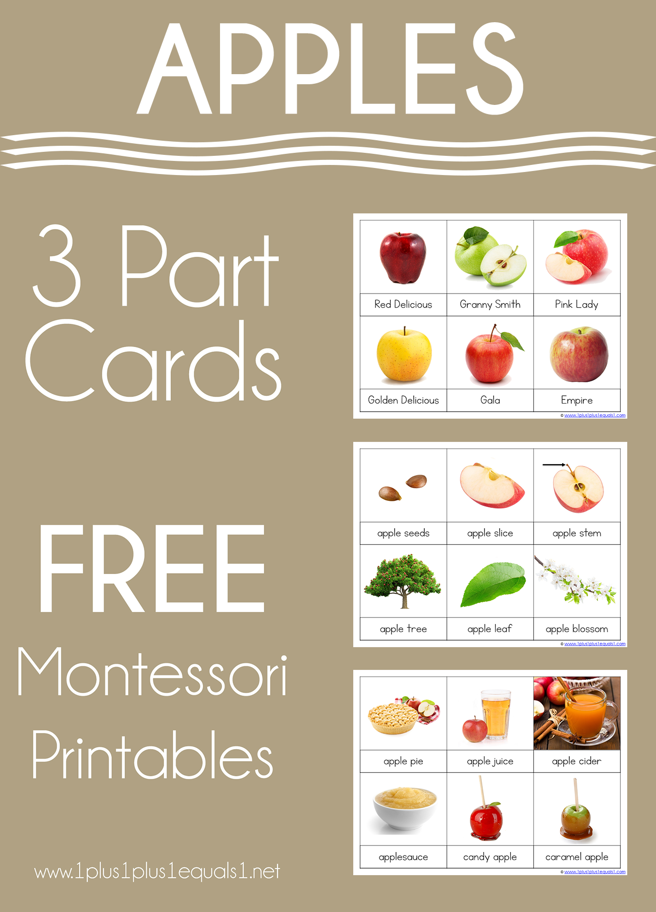 Apple 3 Part Printables And Boom Cards 1 1 1 1