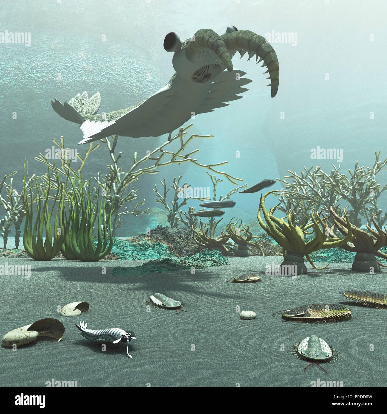 Cambrian Period Hi res Stock Photography And Images Alamy