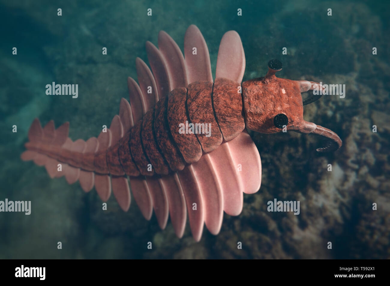 Cambrian Period Hi res Stock Photography And Images Alamy