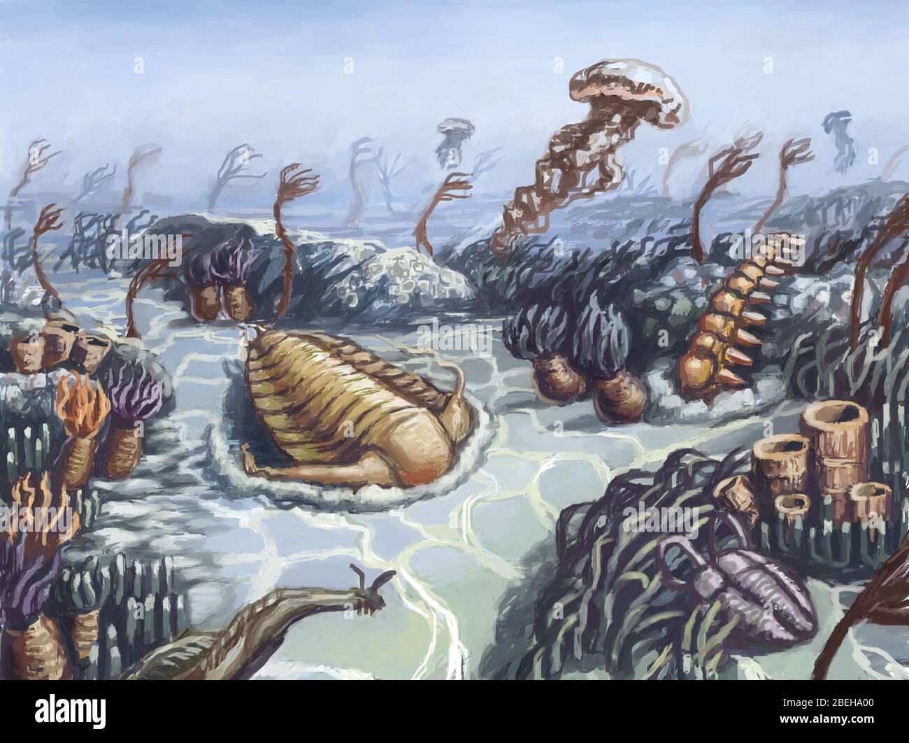 Cambrian Period Hi res Stock Photography And Images Alamy
