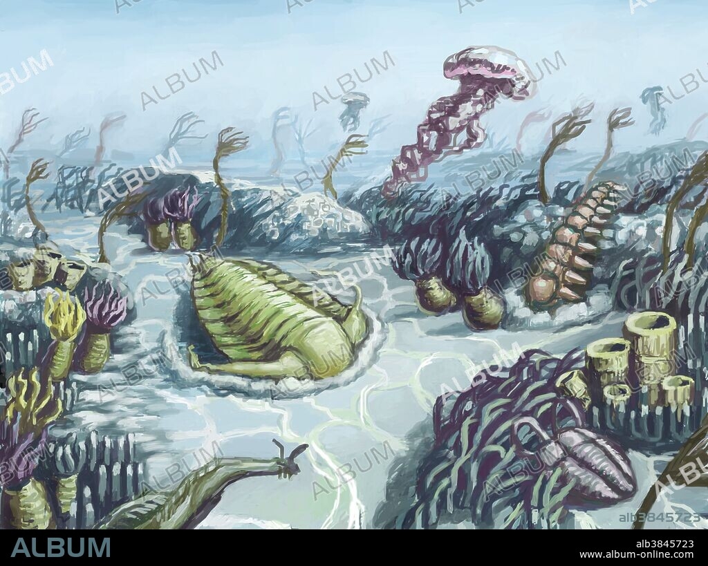 Free Printable Cambrian Period Images