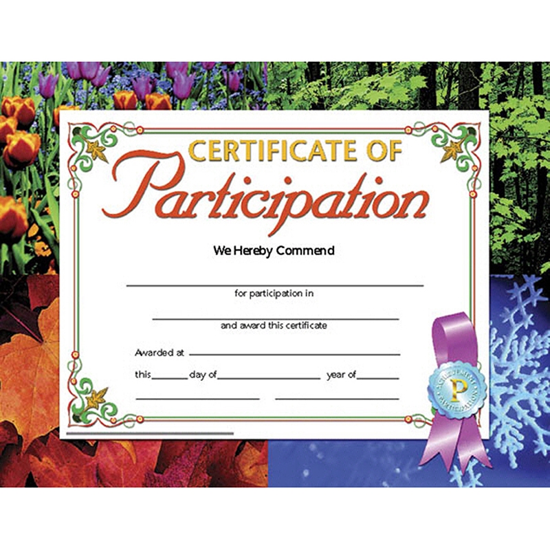 Certificate Of Participation 8 5 X 11 Pack Of 30 The Teachers Lounge reg 