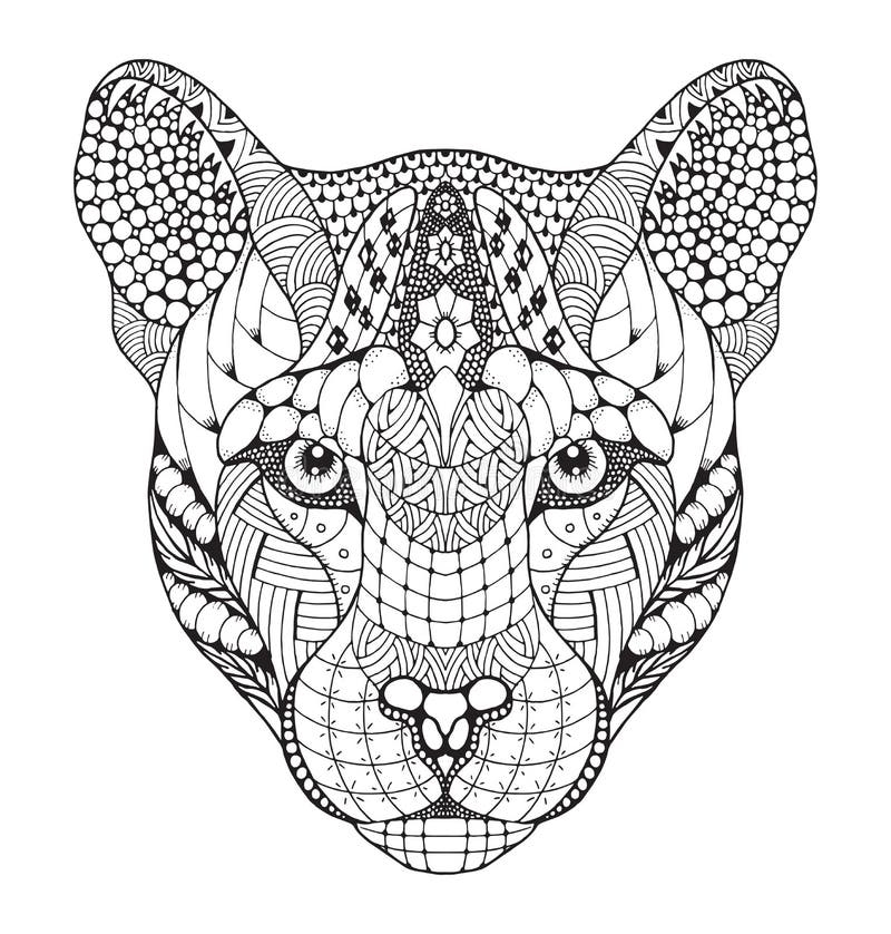 Cougar Coloring Stock Illustrations 204 Cougar Coloring Stock Illustrations Vectors Clipart Dreamstime