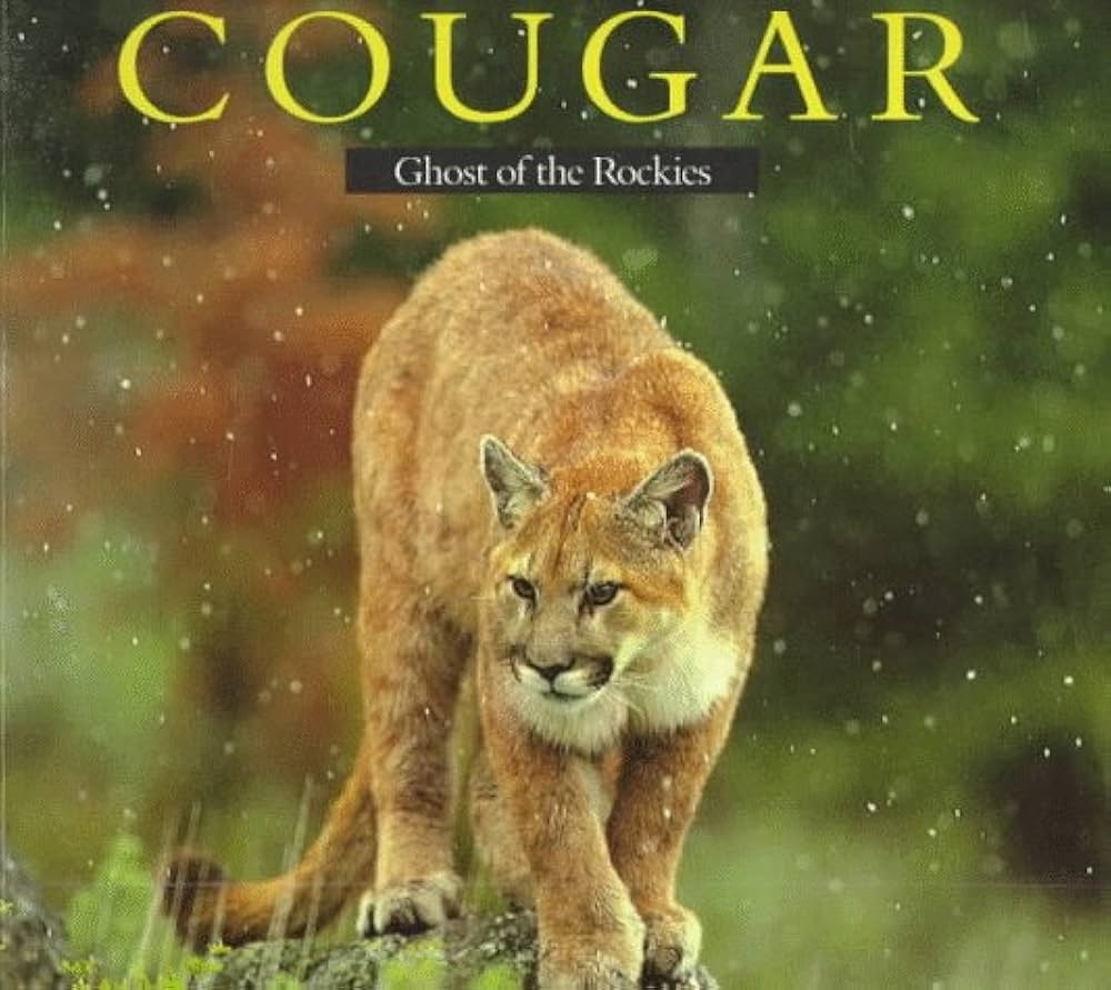 Cougar Ghost Of The Rockies Karen McCall Jim Dutcher 9780871564634 Amazon Books