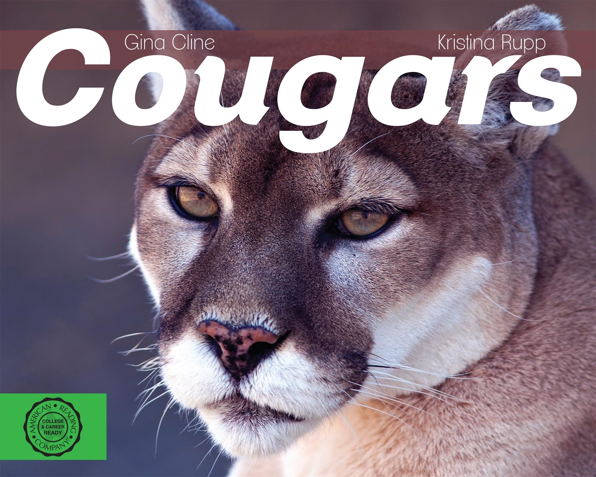 Cougars By Gina Cline Kristina Rupp 9781614062448 