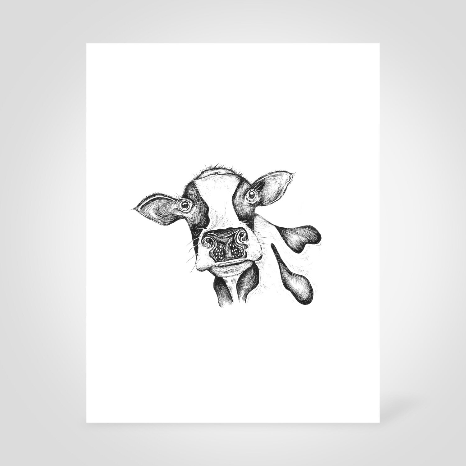 Cute Curious Cow Artwork For Sale Print Of Black And White Cow Farmhouse Decor Hoot Design Studio