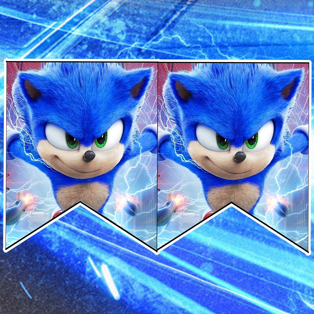 Daisy Celebrates Sonic Birthday Party Printable Files