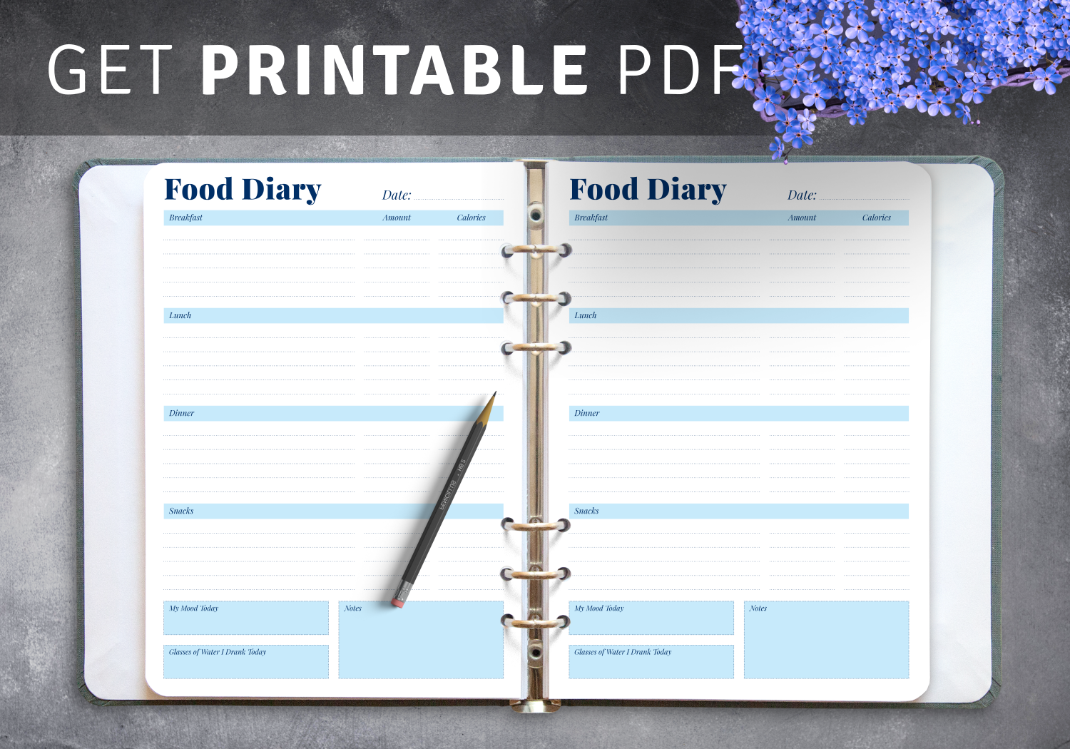 Download Printable Daily Food Diary Template PDF