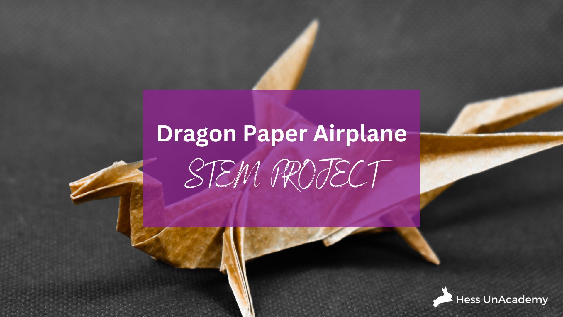 Dragon Paper Airplane STEM Project Hess UnAcademy