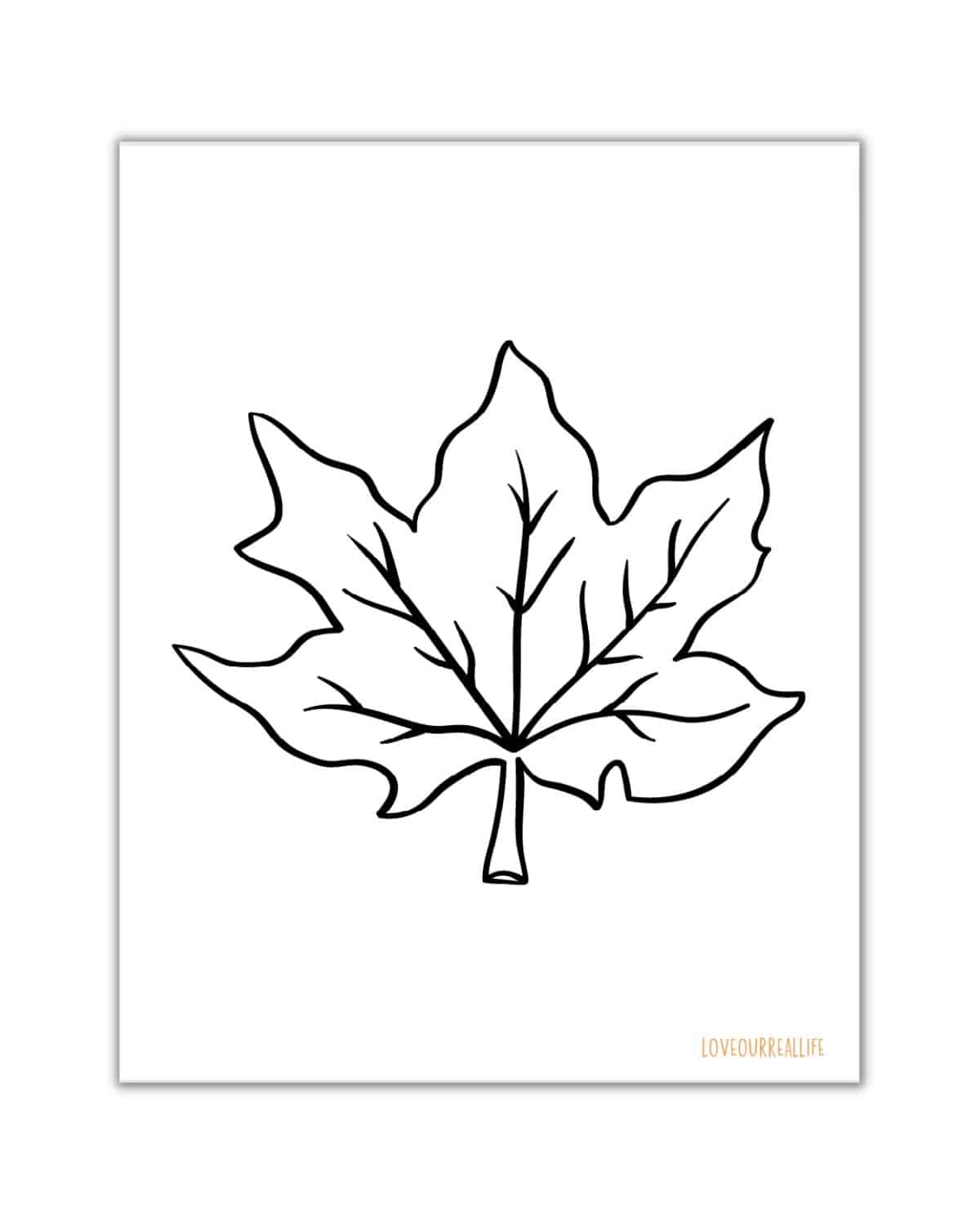 Free Leaf Coloring Pages Printable
