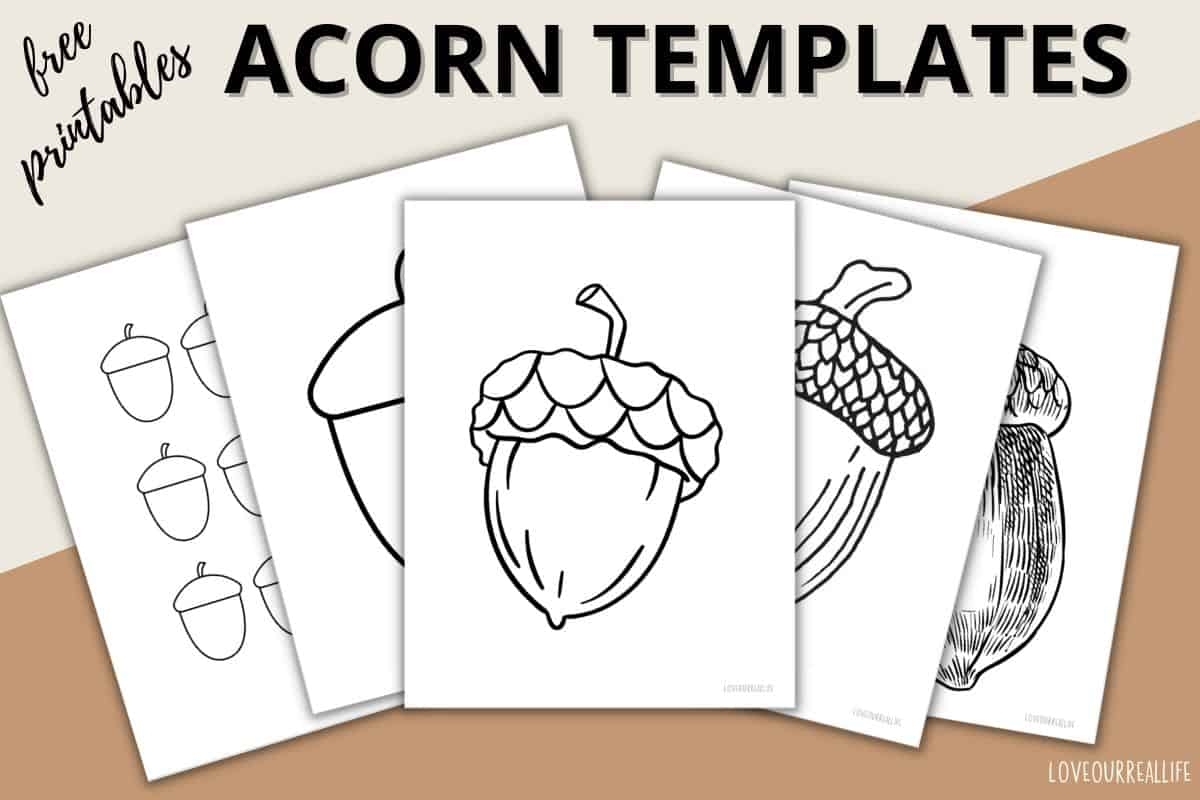 Free Acorn Template Printables Acorn Shapes For Crafts Love Our Real Life