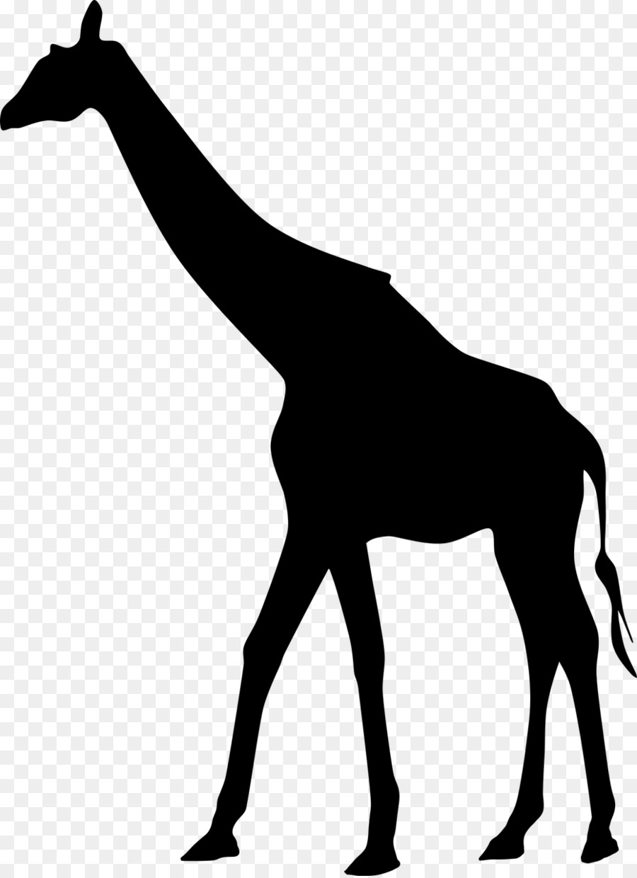 Free African Animal Silhouette Download Free African Animal Silhouette Png Images Free ClipArts On Clipart Library