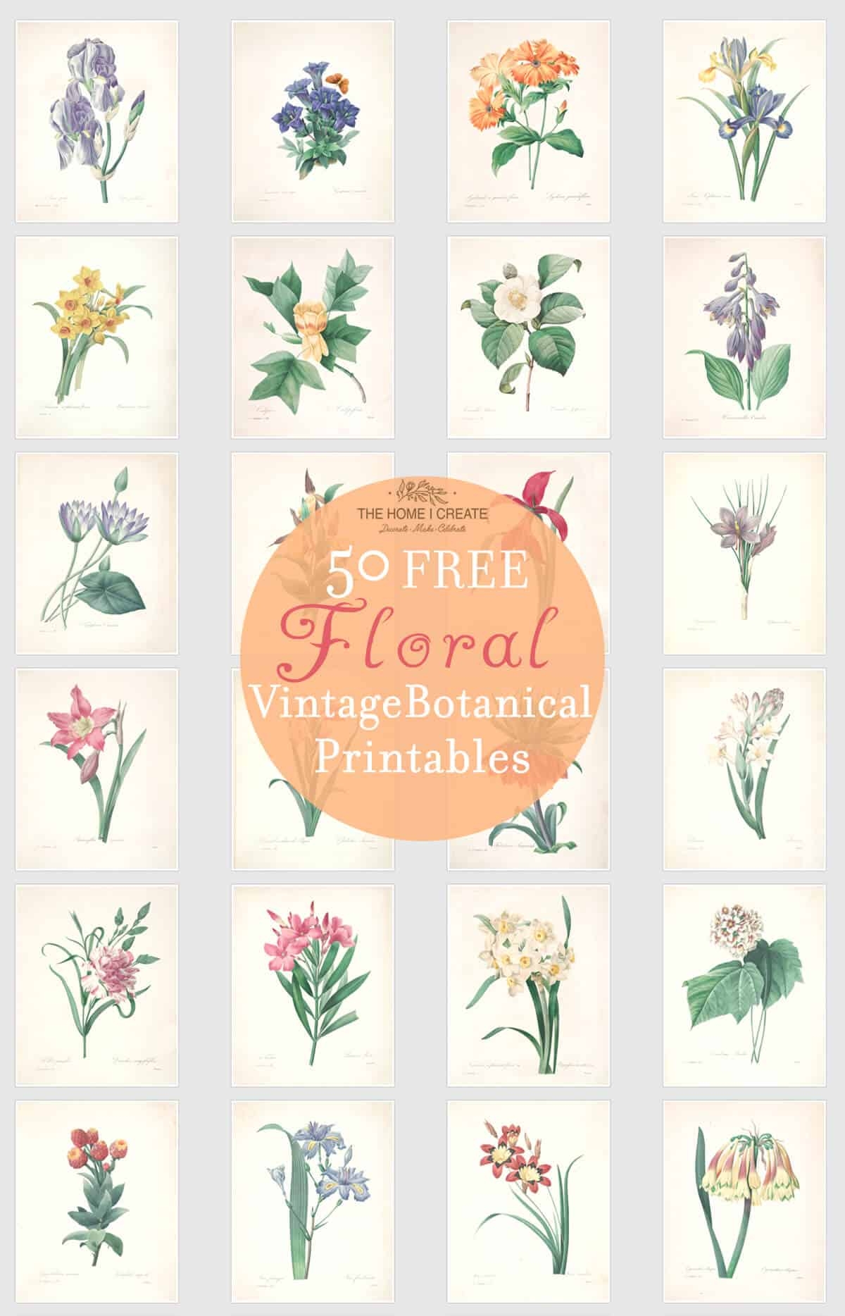 Free Botanical Printable Illustrations