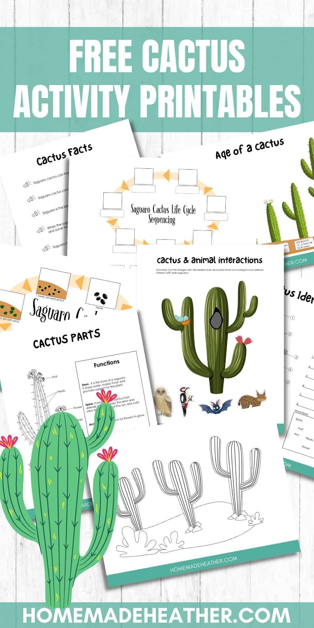 Free Cactus Activity Printables Homemade Heather