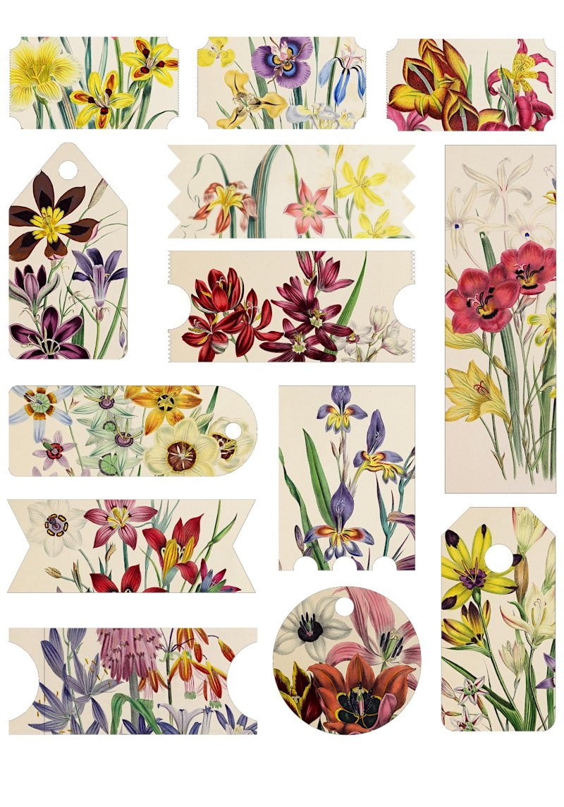 Free Floral Ephemera Printables The Art Scavenger
