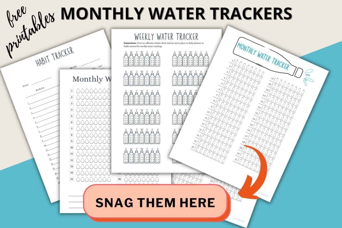 Free Printable Water Tracker