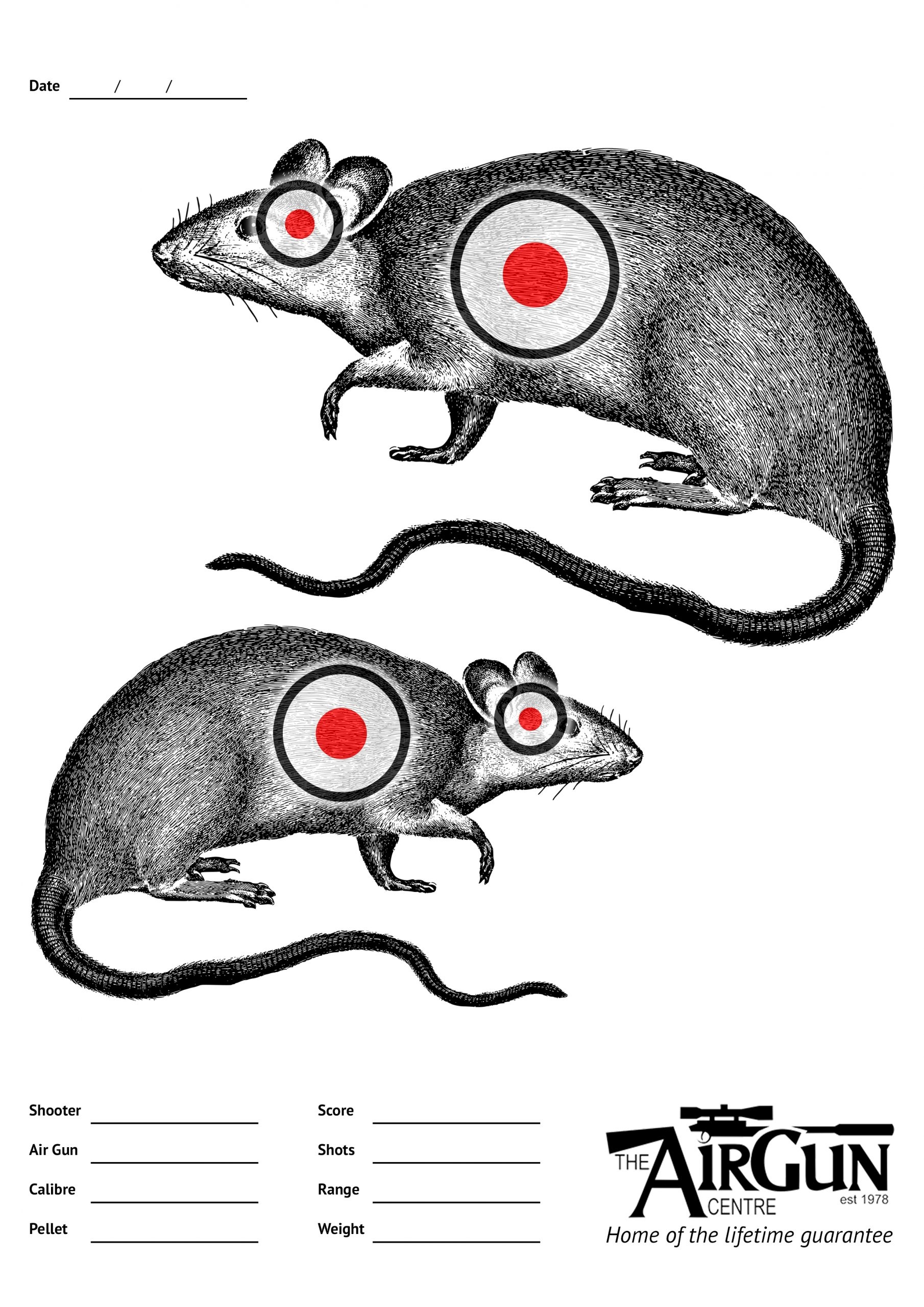 Free Printable Squirrel Targets