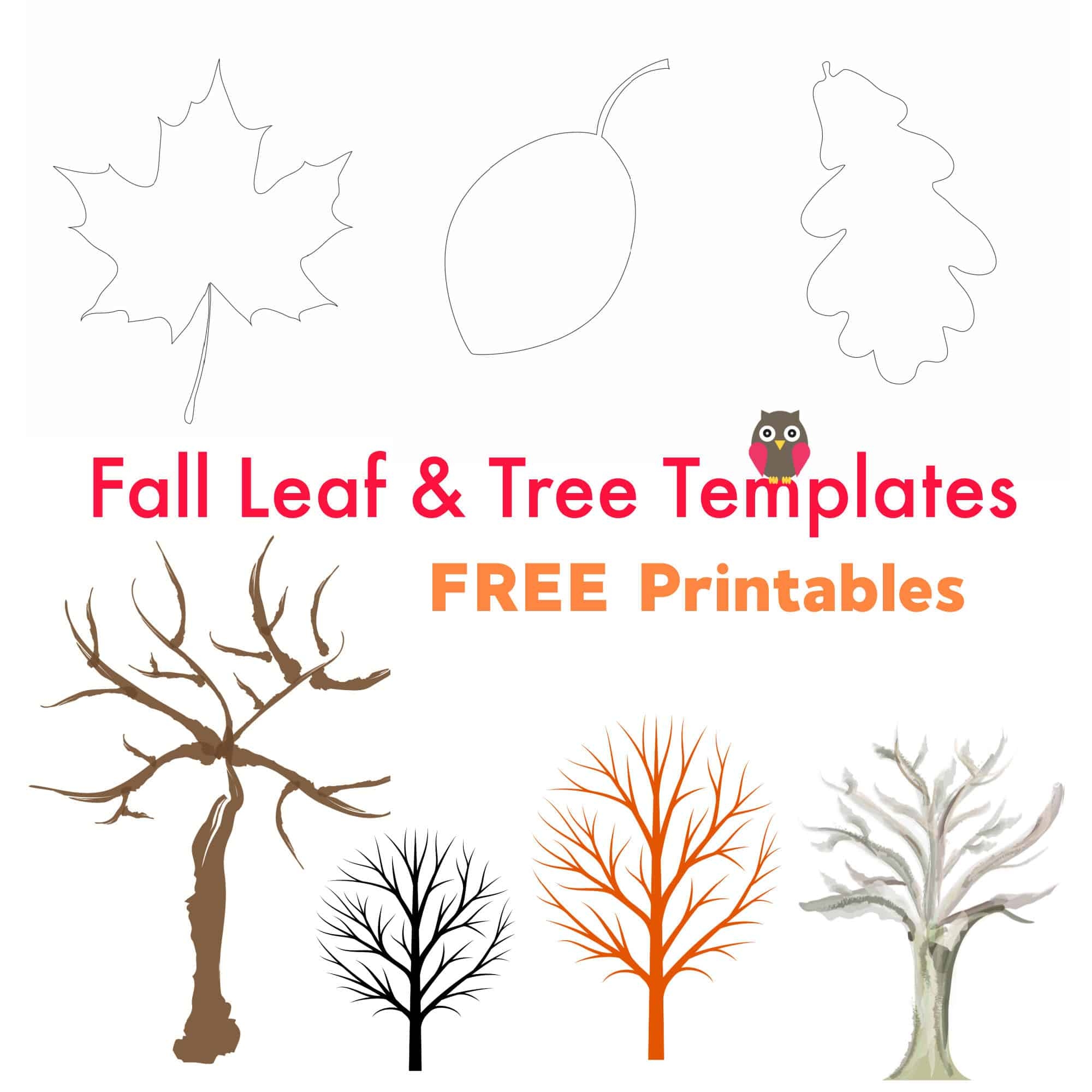 Free Printable Autumn Stencils