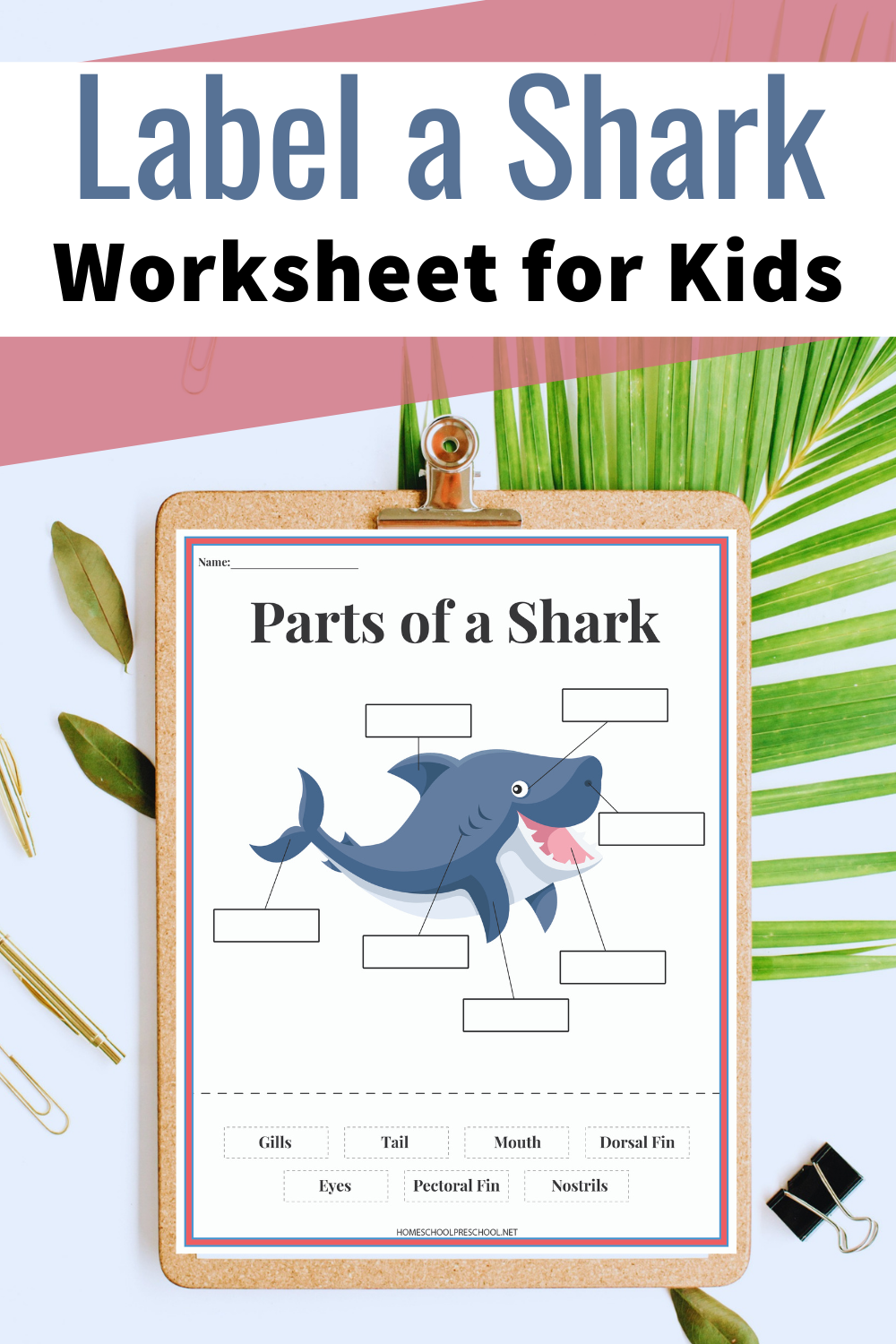 Free Printable Label A Shark Worksheet For Kids