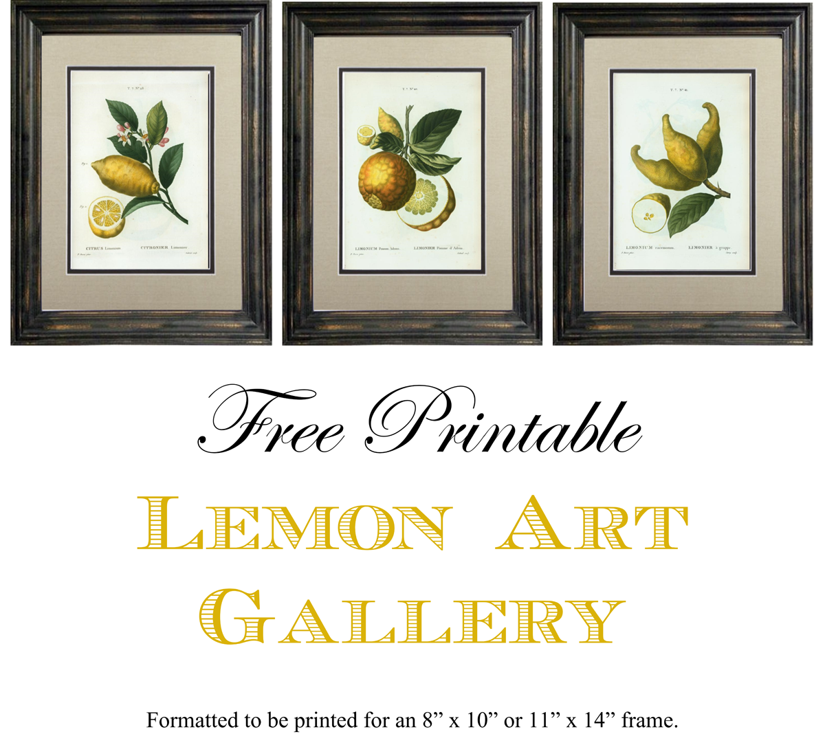Free Printable Lemon Art Simply Made By Rebecca