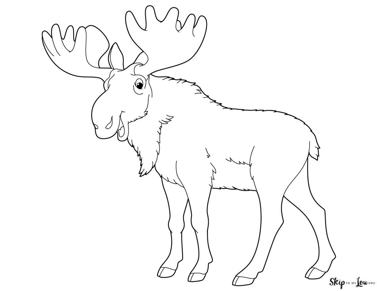Free Printable Moose Coloring Pages Skip To My Lou