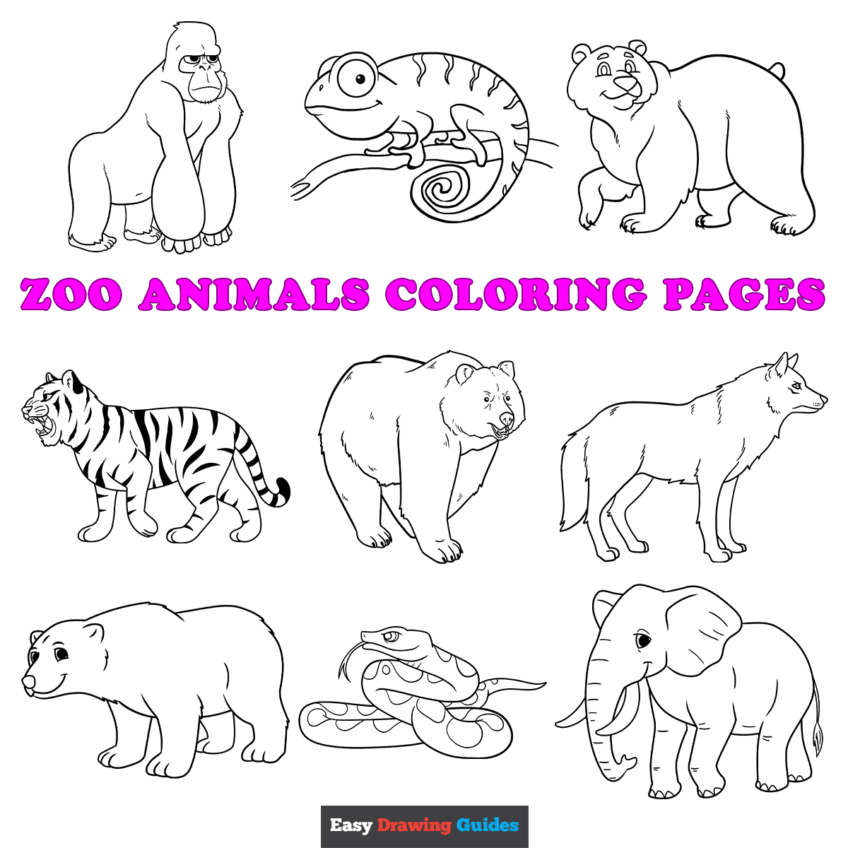 Free Animal Picture Printable