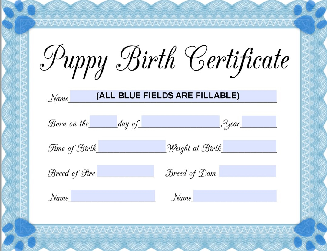 Free Printable Birth Certificates