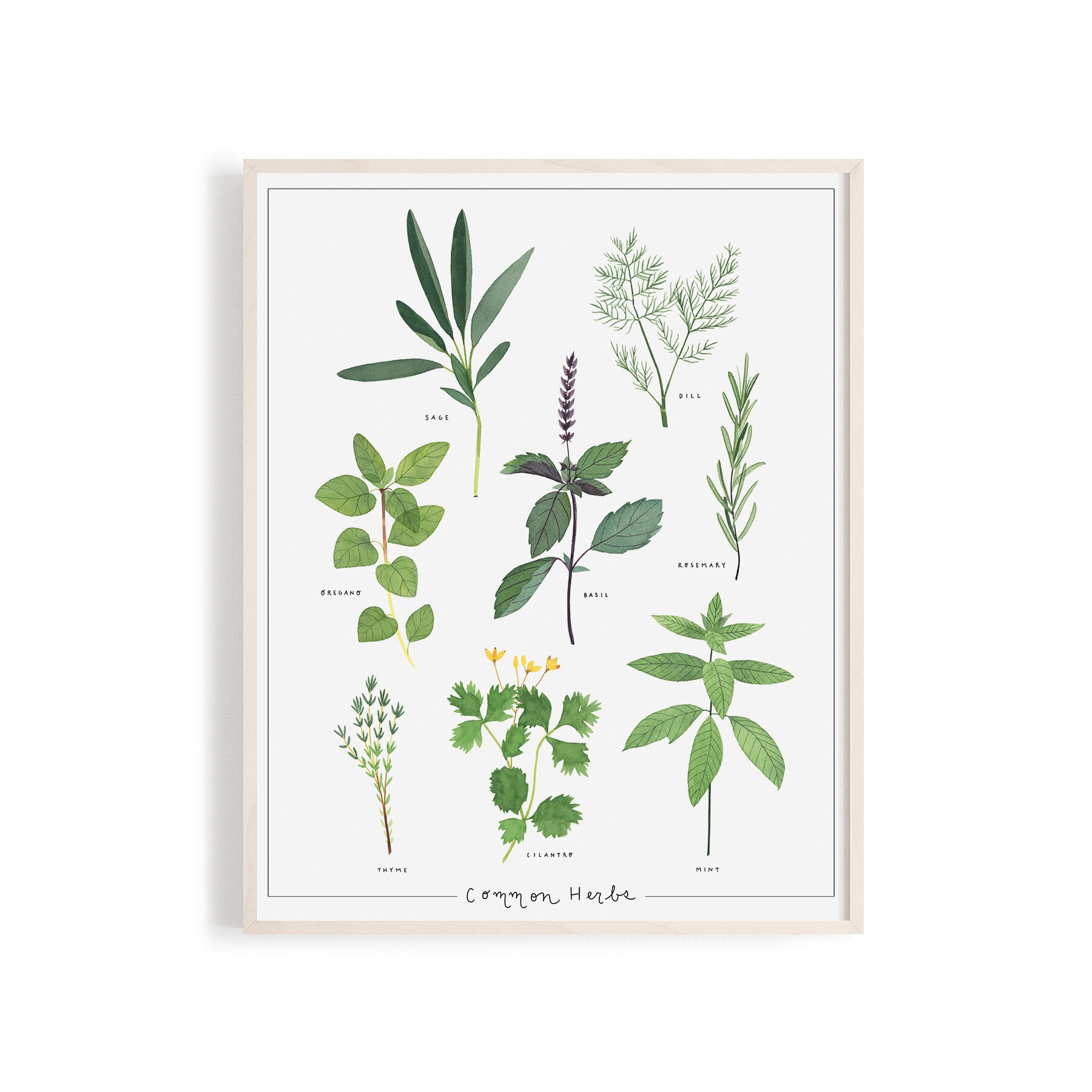 Free Printable Pictures Of Herbs