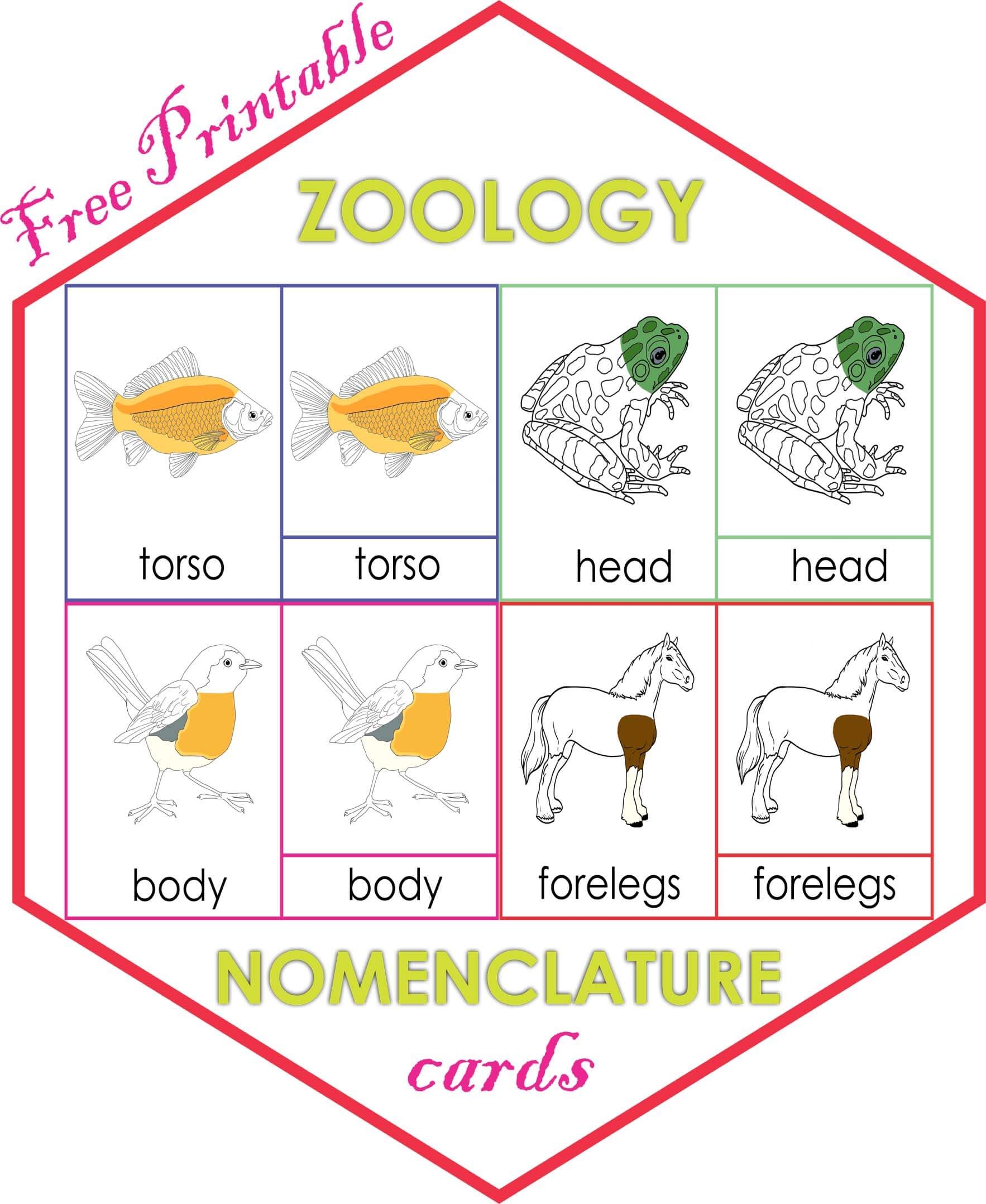 Montessori Language Montessoriseries