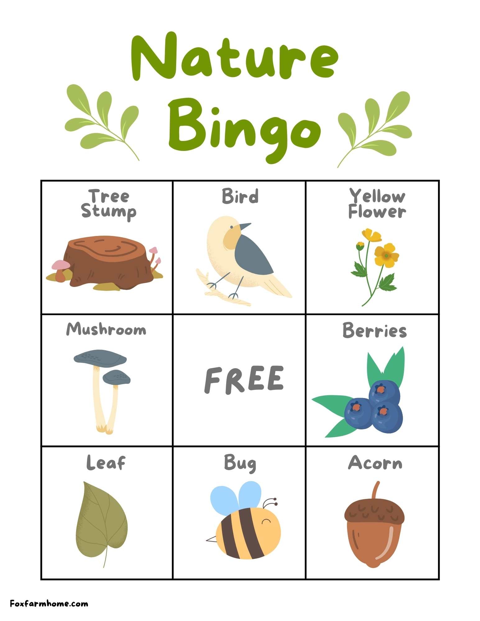 Nature Bingo Activity For Kids Free Printable Game Fox Farm Home