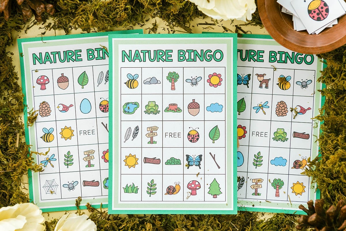Nature Bingo Free Printables The Best Ideas For Kids