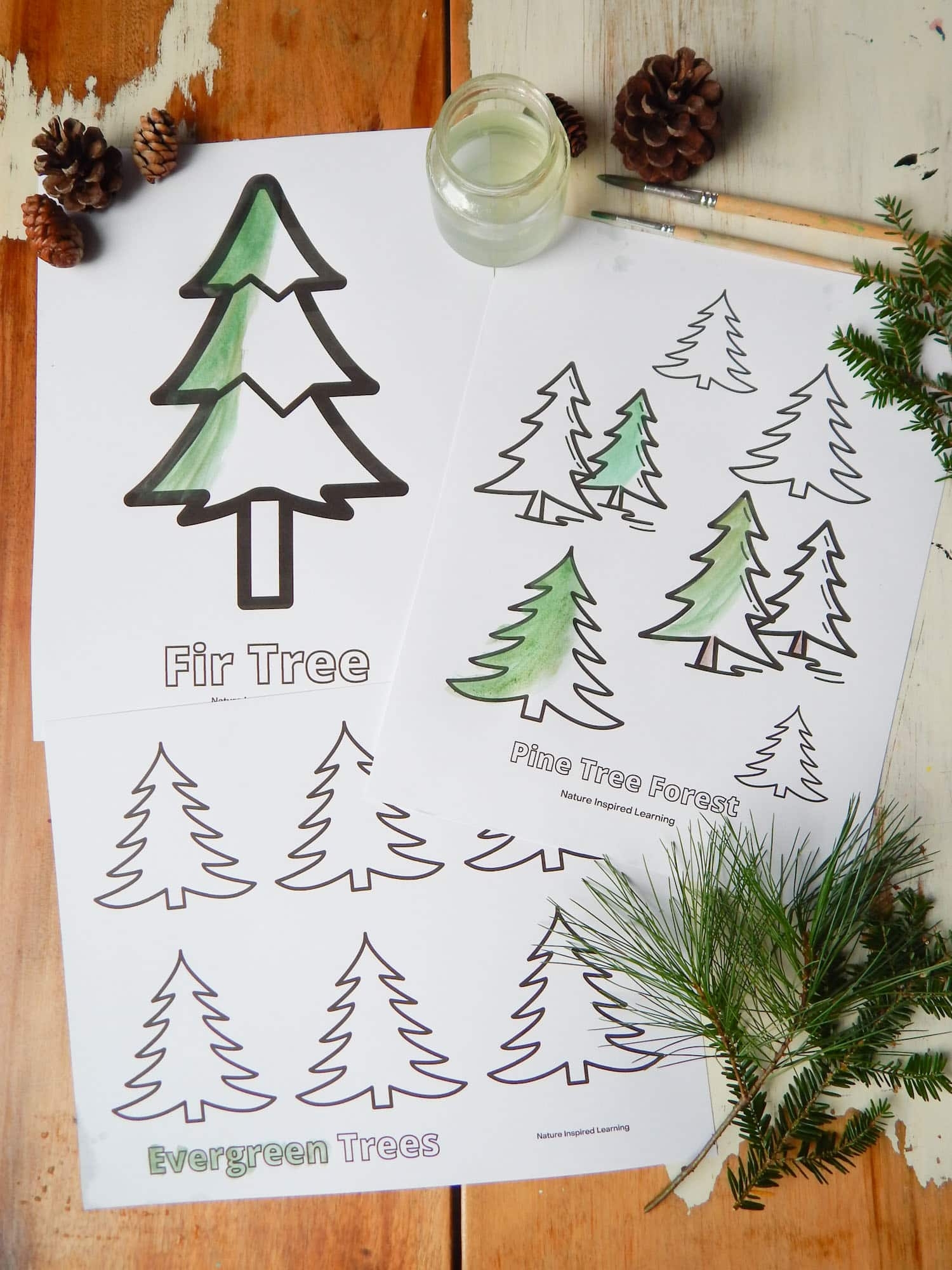 Pine Tree Coloring Pages For Kids Nature Inspired Learning