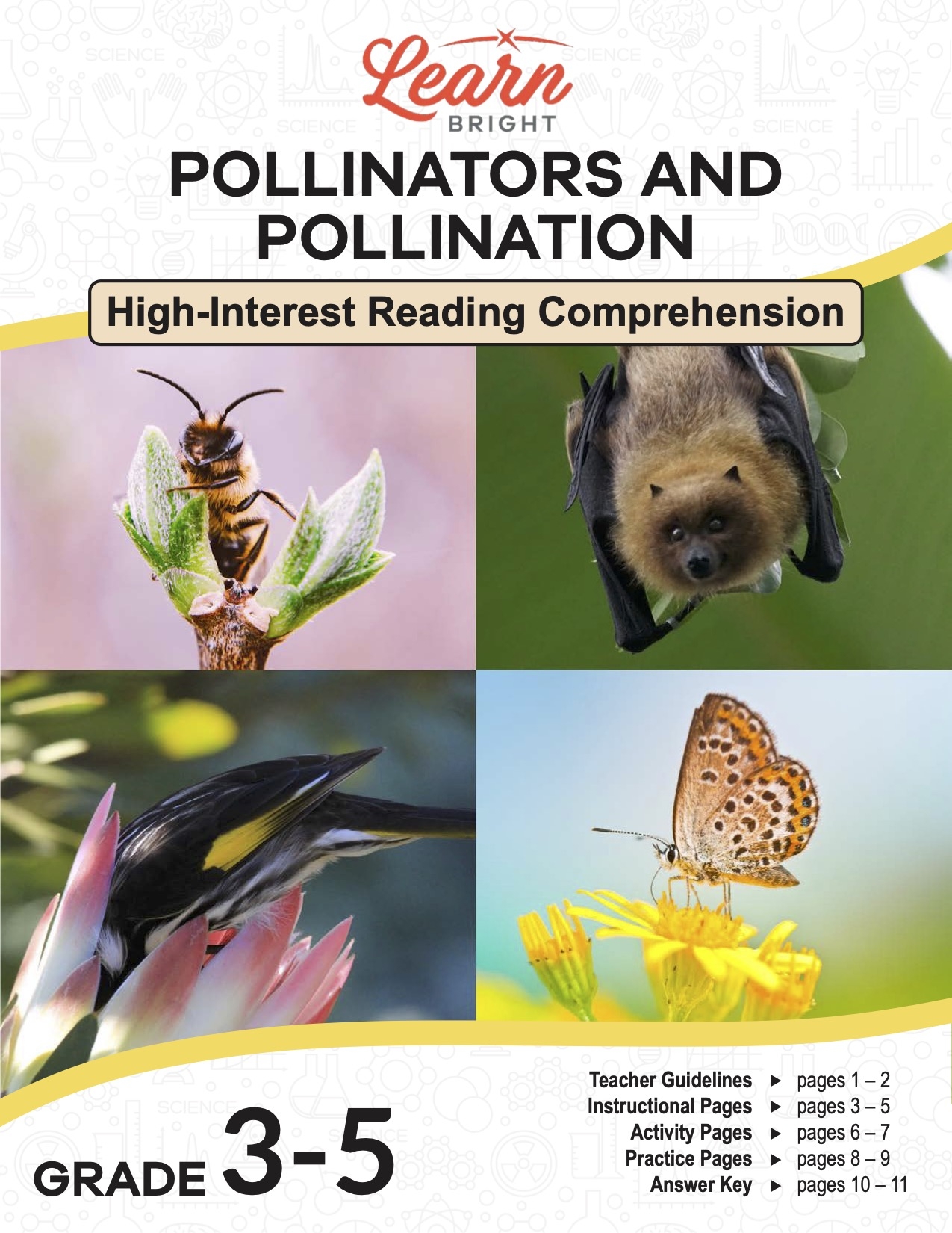 Pollinators And Pollination Free PDF Download Learn Bright