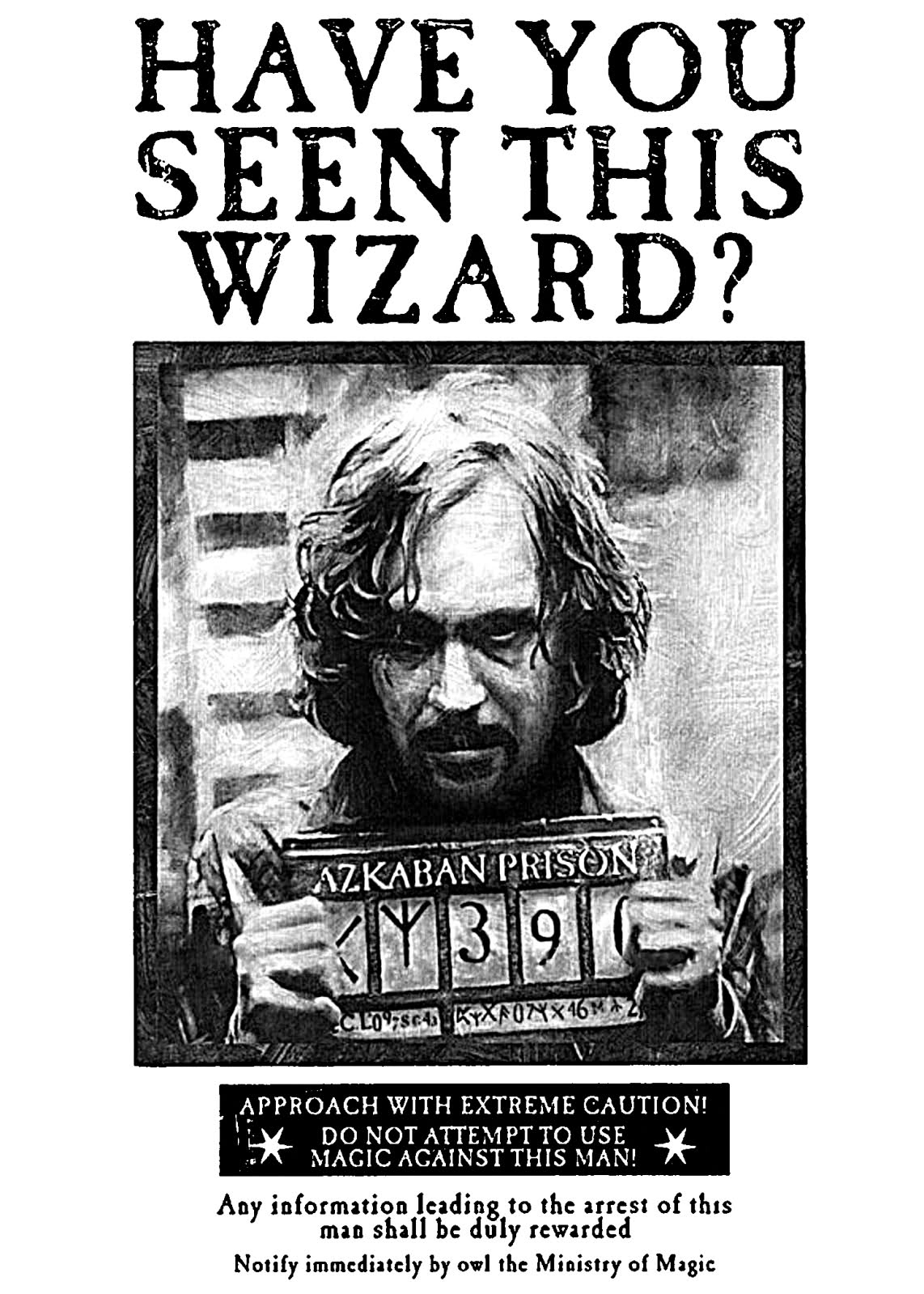 Poster Acciomagic