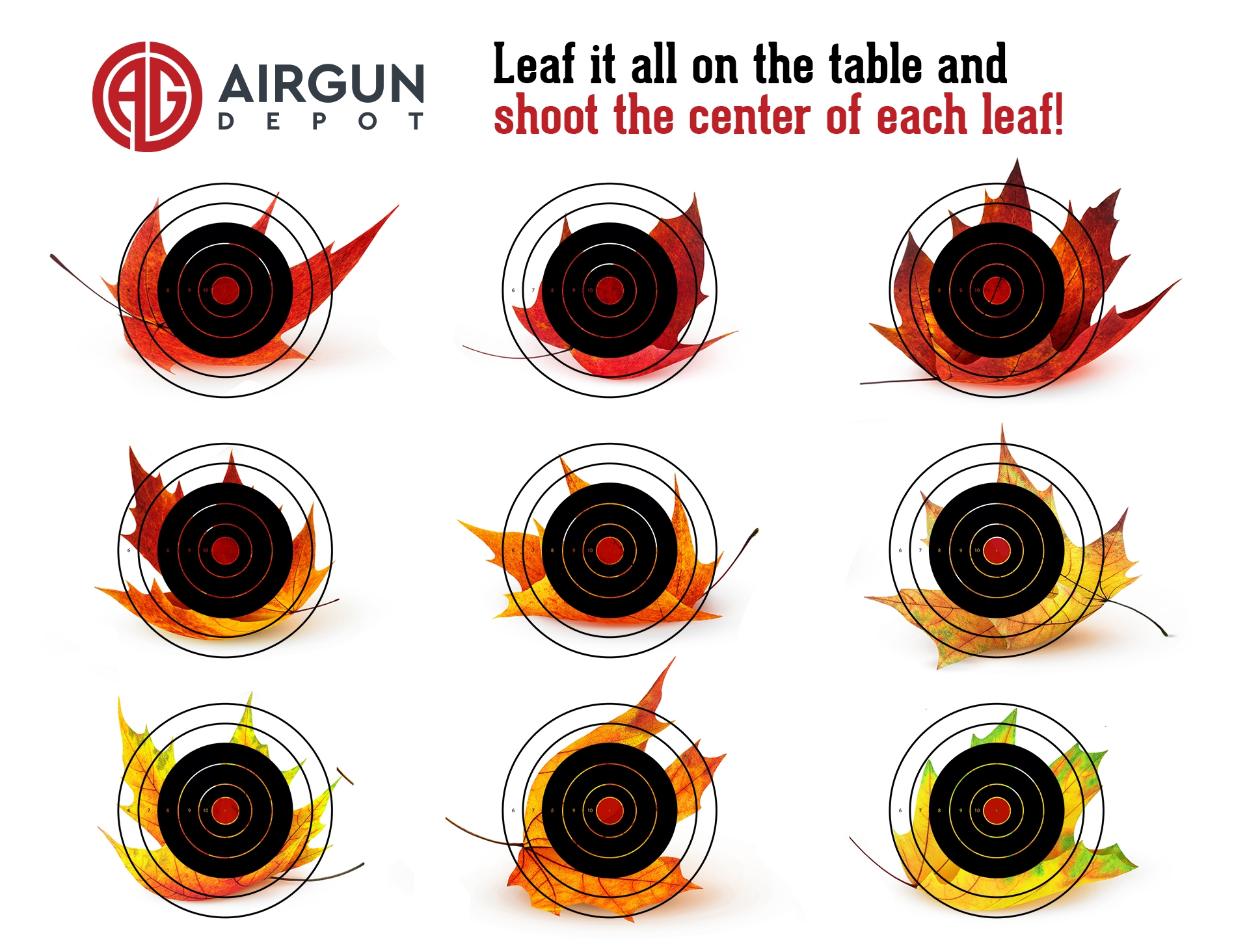 Free Printable Download Rifle Targets