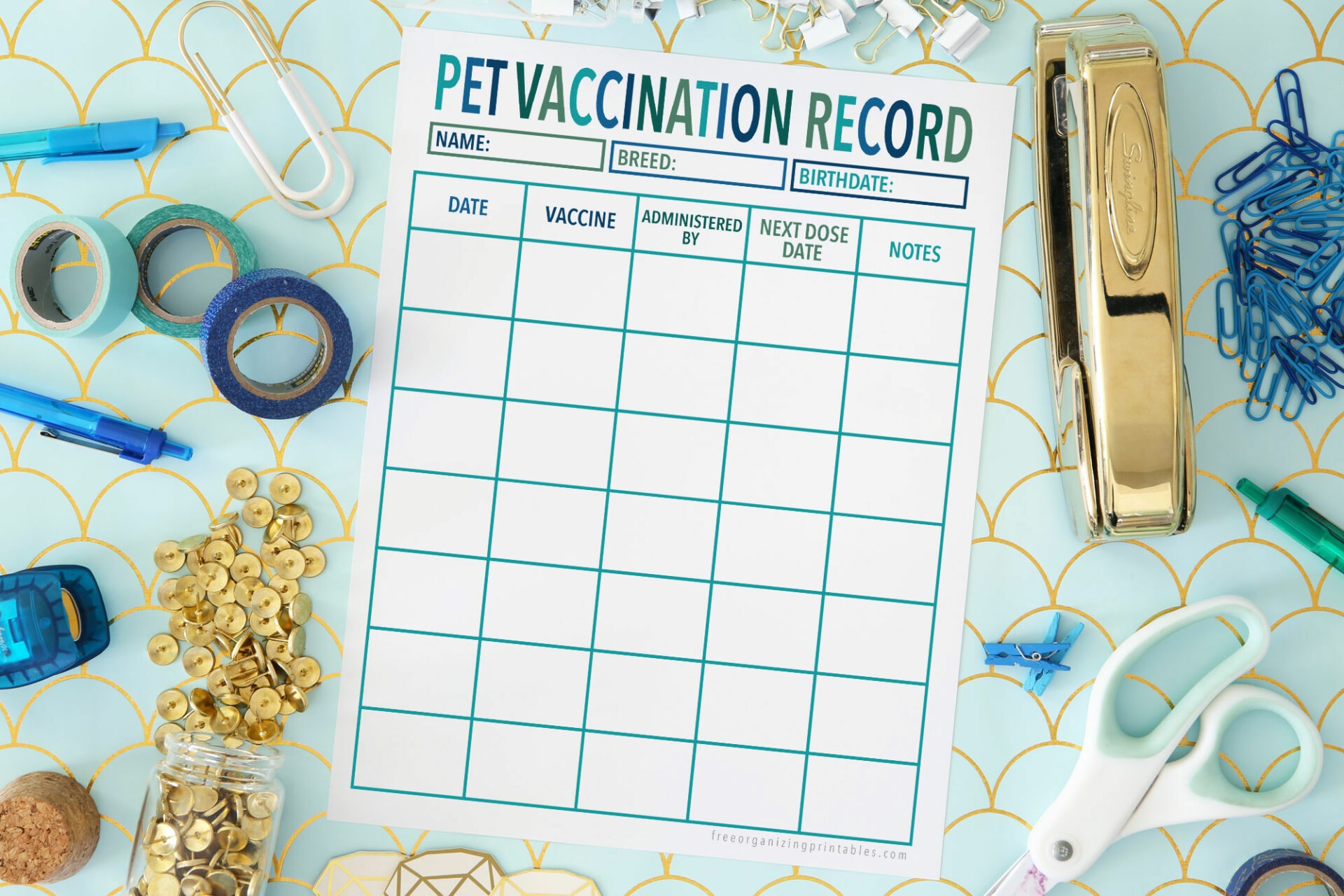 Printable Vet Record Template And Pet Vaccination Record