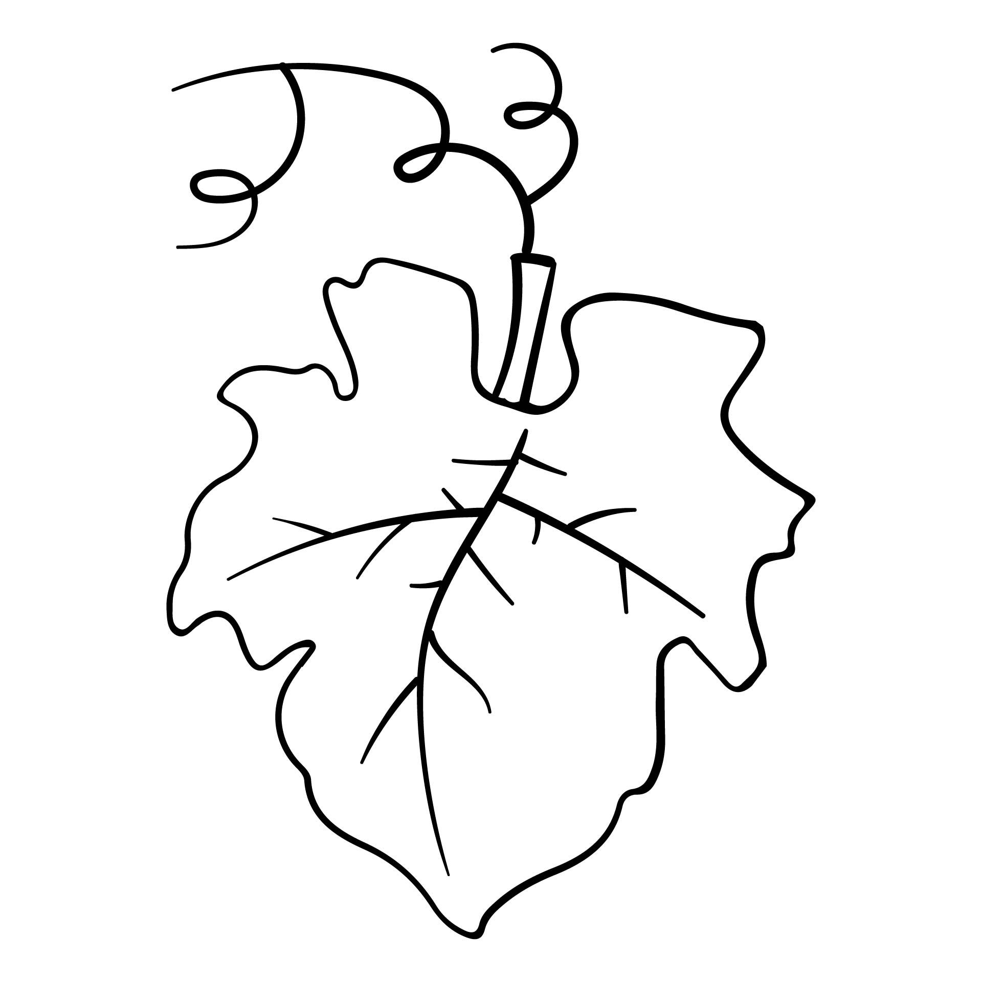 Pumpkin Leaf Template 15 Free PDF Printables Printablee
