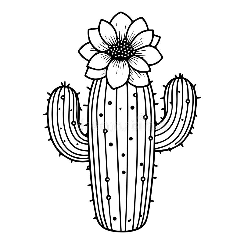 Realistic Cactus Coloring Page Flower And Cactus Line Drawings Free Prrintable Cactus Coloring Pages Stock Vector Illustration Of Decoration Leaf 309297557